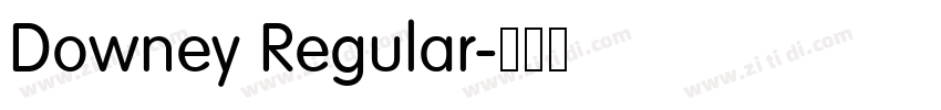 Downey Regular字体转换